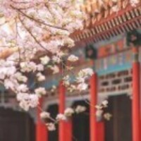 C8e768d092b4f22fb444ea88d4d8e20216aaf5b9