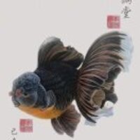 Fe88d7951e27e63d00585fc8fe151997372bbe2c