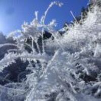 C8951aca0079574390edfbf86ed927f0c4b32bb4