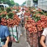 98e63f52dd673b8184a36b76eb68b1bdb40e7341