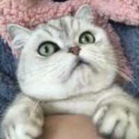 51fa43e19707b1657a971dcd3bd362c714c14acf