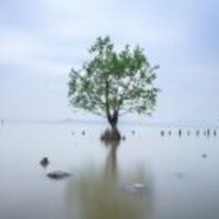 C747238e0b601865b0ae75998d4e6303d5e9f6cb