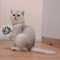 B198240737d2bfda5690ac2301ac747dd388812f