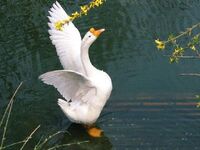 835a6057d6b0a35f7f5d626c9c8114e041291abd