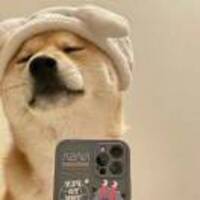 C028e16017e47ab531776136f435386a5a32de0a