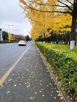 47b1ba91cc77d37b7ae98f03adfe74b6b90f54c9