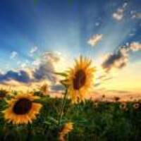 52afccb671f7f077e72b0bc5ff5a6a8f7931945f