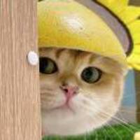 404b5f6bda930cc5f0039136acceb7c322120077