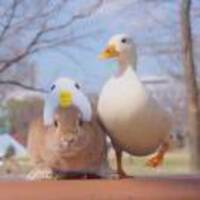 F55e59c6b805222099901c84007eedc5604792f7