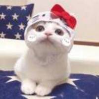 37443d8818a591e7db21892aaa74d1ab71f57293