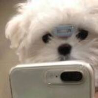 A0309aae41a7ef8bef0a6226f76a889e48e5f291