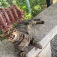 17e5e838ac277b3b4758ad2aa787b440867bb960