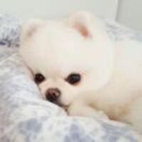 59c25e4c003b3c99cf240972f3f73177c6c750ce