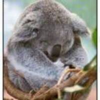 5f6d00c6bfb3b4b4ba674910877dffd07955aeb7