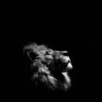 A86f8f0123b366f69b8e280f8913f6869960292f