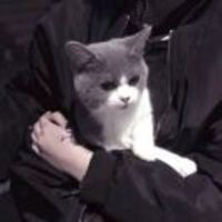 Cf406f46adf6d9695fa8db12a1d120a29ad0fe0e