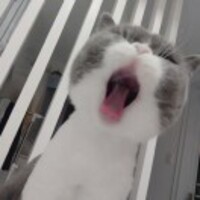 279fcdd8e2a32724612439bdfe36e83e25950cf0