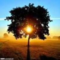 7e895934fc15a5095ed41d70b7da668541074248