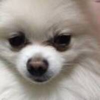 4266d621ade6fe3a3939664b5fe90cab1ca73c9c