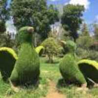 8bfe499307257f524dd905ea4320a8fa713a3f45