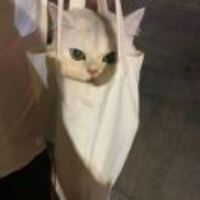 422537ee08400fe295a9ffda7058deaa7c44d7b3