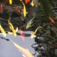 0154e7aead88bc3ba10d8cd7fb434626537e06b6