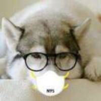 A098a94e80b2d1dc5882e22679f2537097326819