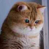 9fc9ab1bd84fe7a79906ad7533f12e0454d45776