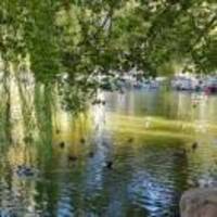 4a6b0d229fdf700b26f353a50ab85b4dcd6fa6bc