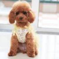 90cf837699b220c714a87b58f6e06ac14a30f4a7