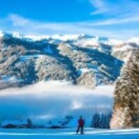 D6a9d731ee301863aefa030a1d9093000f5e8769