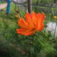 389a5f68b1c73482403899c48b08a41768563cfa