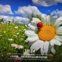 40ff81634c85ec3c87c7b6cd1bbe6f27f3c5f94a