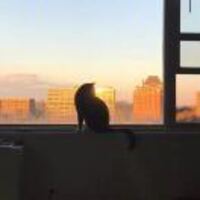 50a1458bfe4a1dd6477cecbafb6f2c3e49780d08