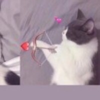 28b7ef396db63c5d5ce62d8c7f59e492a5d1cde1