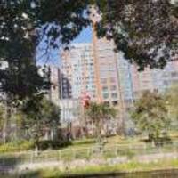 C4c081f315e17e6a16d492cebfc4cae20611a60c