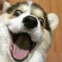 Eea35294709a434b8ea21005d0c89213568599f6