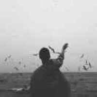 A33e79fb4a45634a1d07c242dc4fd682bd167b2c