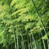 906a09892af5ccc8f591c5bd38df6e2c6c0c3452