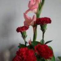 Ed36a38c38bf6885a89bd888cc591ede38a74f6f