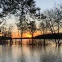 9011950fbf9b6819475723393f1a4c2fef20f8a3