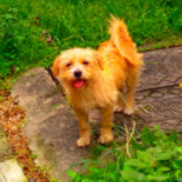 B270c76319ff5b597578d9bfb69e8bd9d4753a8f