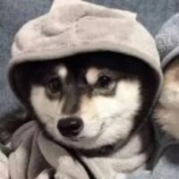 764b34c738fc921ee5e0c018ad2264ecd2044ede