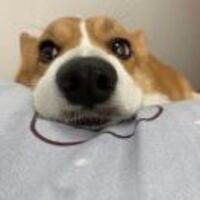 435d9bca56cff7e688d41e1611580b3dc49d1ab0