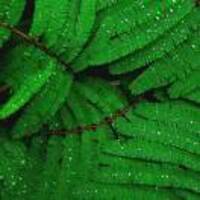 24696ff7e2b528a027624bbaab4ce17343027bf0