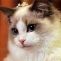 15cd239767c1dfca5d00900f5fc2dd864b183dfb