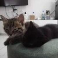 745a69d3ca533fba622b40806776502fbb83acef