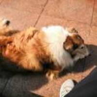 A023fc0be4be435f5e03bebc86e405b95cc791a2