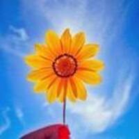 B25ba2f79d0283c488e40bf4cda565e3744bb462