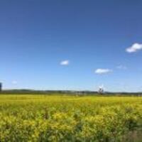 7fb0671165a4efc00c3fccbe4b9af7d5f84c845f